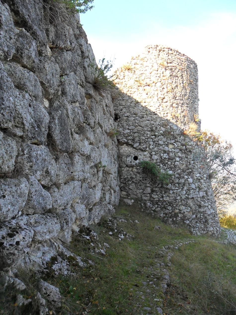 Arpino