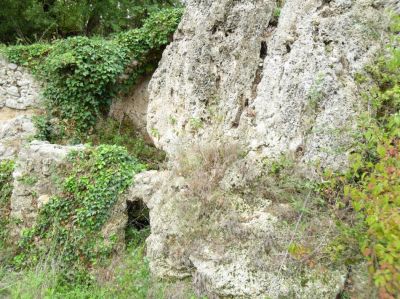 Terme di Vespasiano