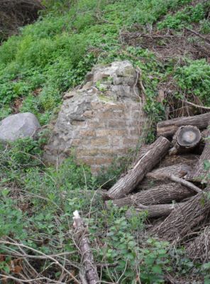 Anfiteatro (resti di struttura muraria)