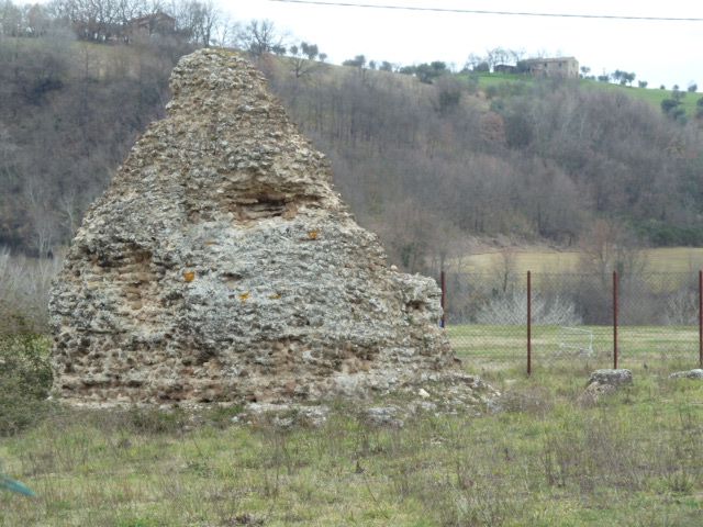 FORUM NOVUM