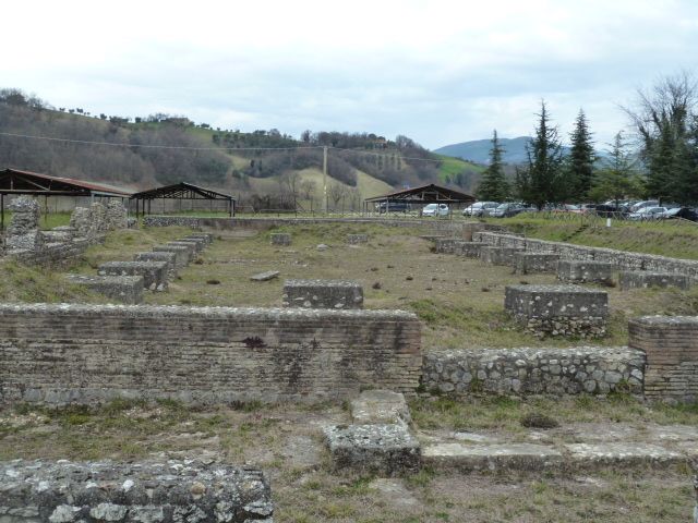 FORUM NOVUM