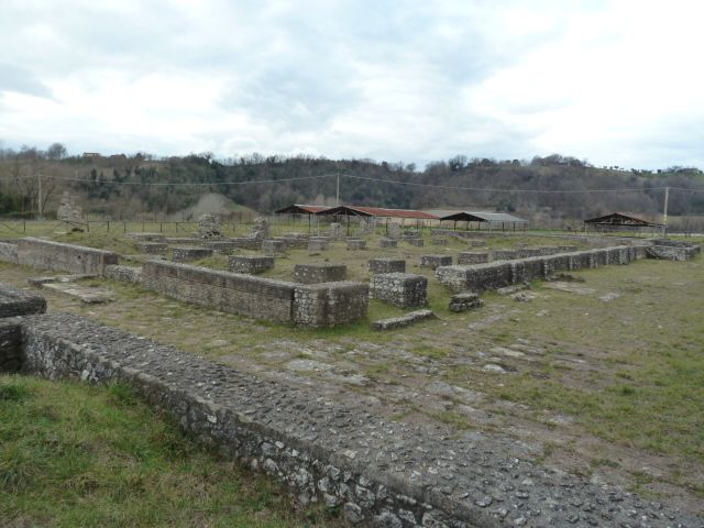 FORUM NOVUM