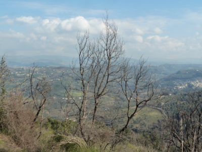 Vista sul territorio di CURES