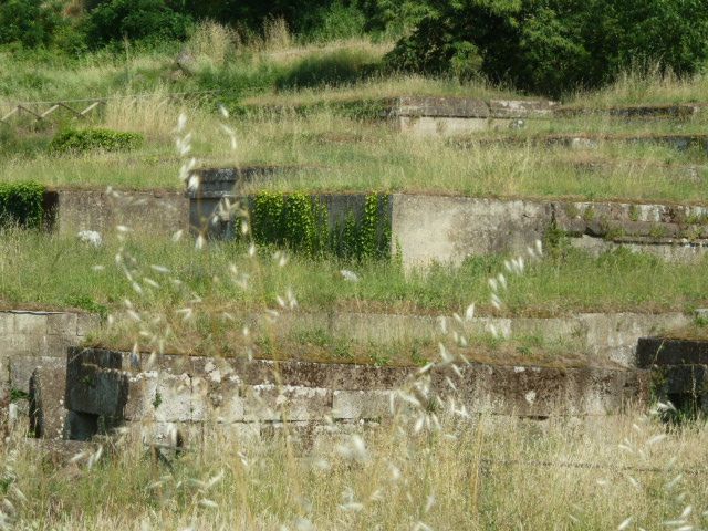 Orvieto