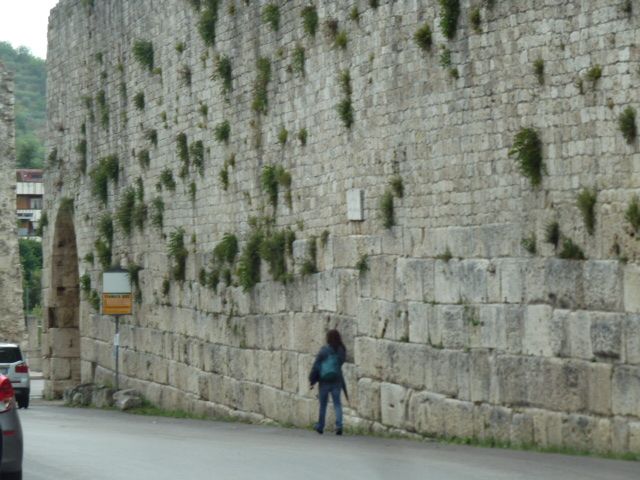 ASCULUM (ASCOLI)